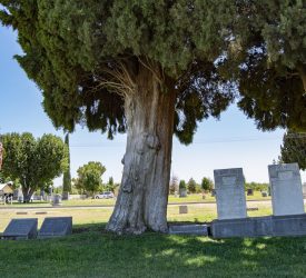 parlier-cemetery