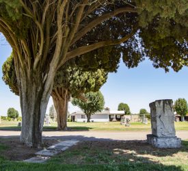 parlier-cemetery_1